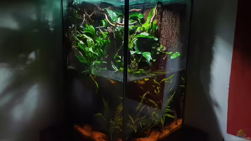 18.3.20 von Aqua fan (3)