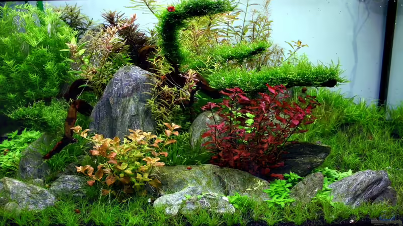 18.4.13 von Bjarke (8)