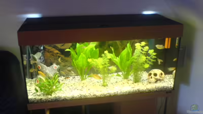 180 L. Gesellschaftsbecken von Jörg Stegink