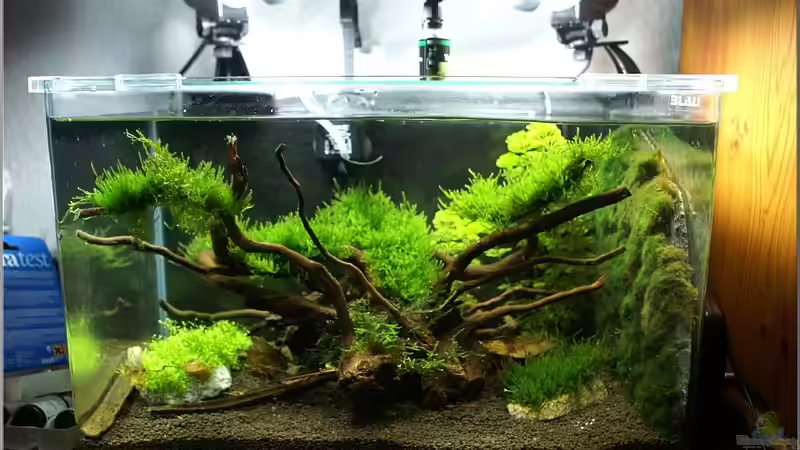 19. Sept 10 Gesamtansicht von Christian Zwick (3)