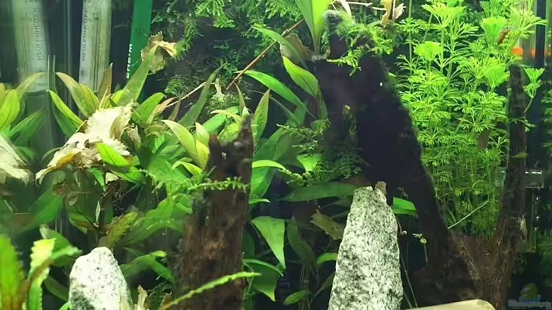 19. Sept 10 Gesamtansicht von Christian Zwick (5)