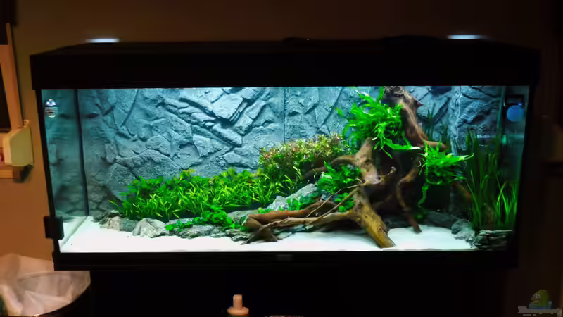 19.01.16 von Jah Gaid (7)