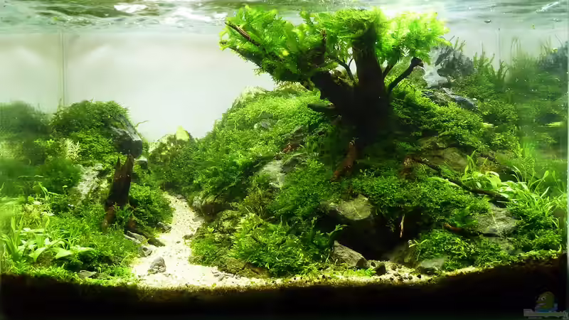 19.02.12 von -serok- (2)