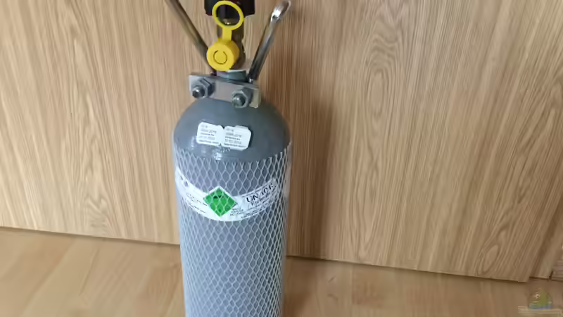 19.02.16 von .Andreas. (78)