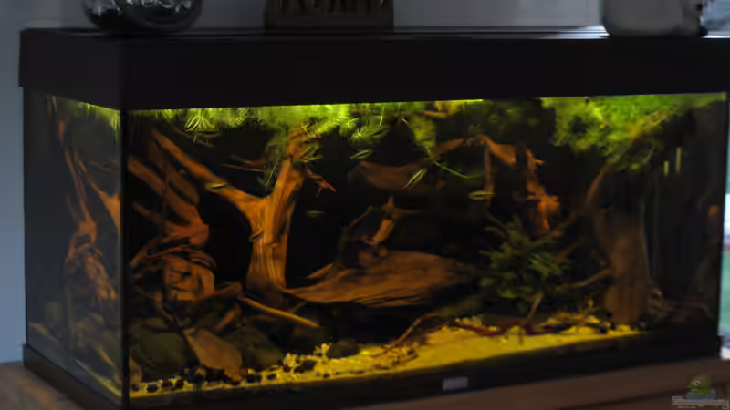 19.02.16 von Jemafa (17)