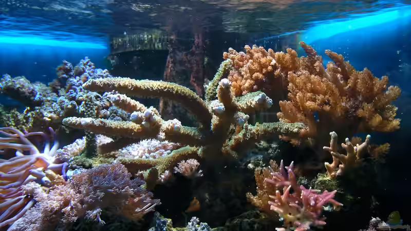 19.02.2012 von Dirk Schäfer (5)