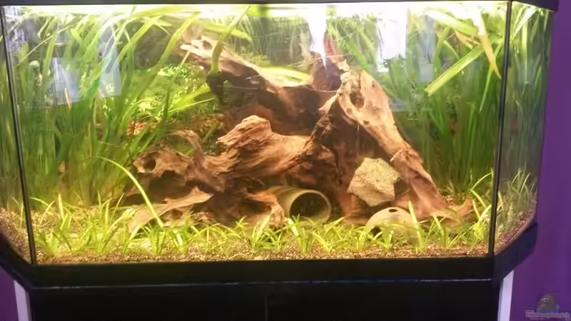 19.02.2014 von ~Danny~ (6)