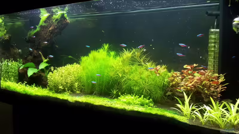 19.02.2014 von Terence Hill (10)