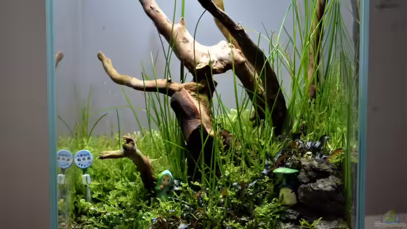 19.02.2022 von Junglist (3)