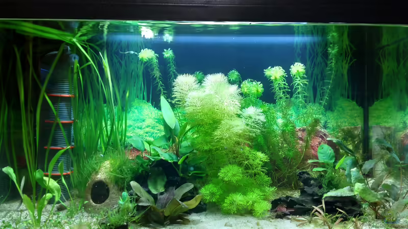 19.02.21 von Lily (14)