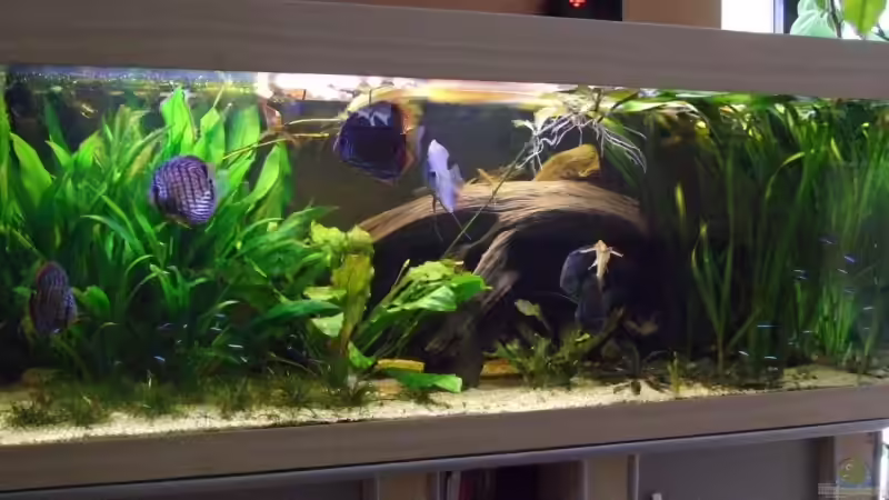 19.03.08 von Udo Müller (6)