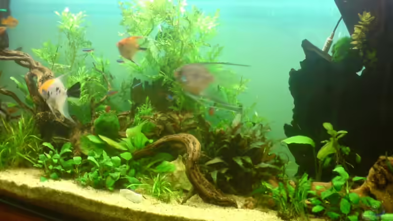 19.03.2008 von Martin Kaindl (4)