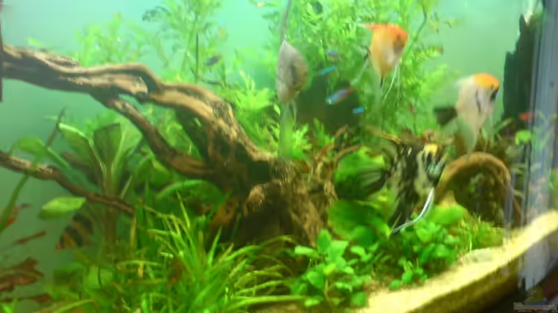 19.03.2008 von Martin Kaindl (5)