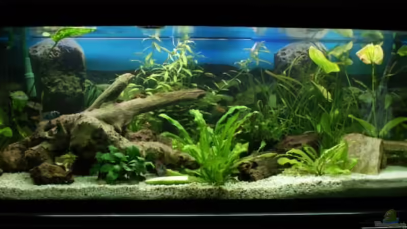 19.03.2010 von Bastian & Sandra (8)