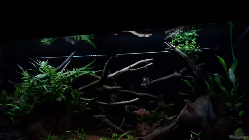 19.03 von Atacama (14)