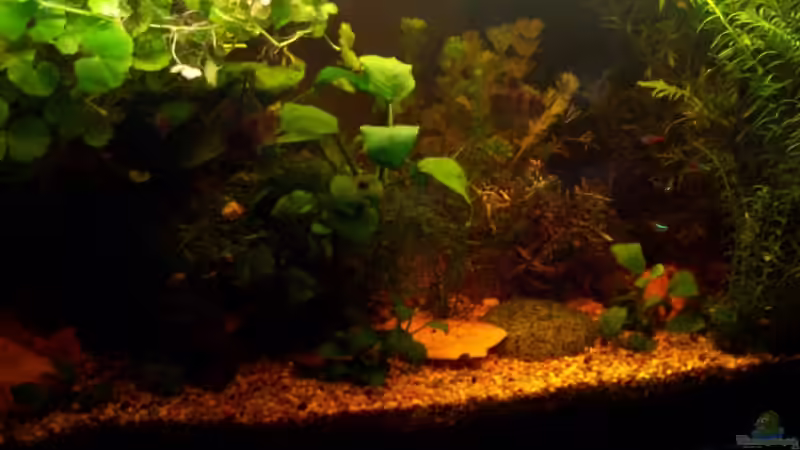 19.04.2009 von Jens J. (6)