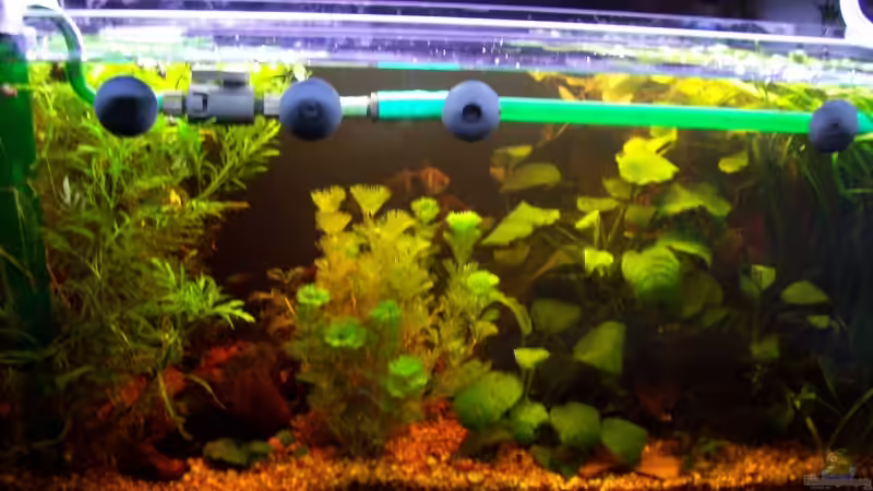 19.04.2009 von Jens J. (7)