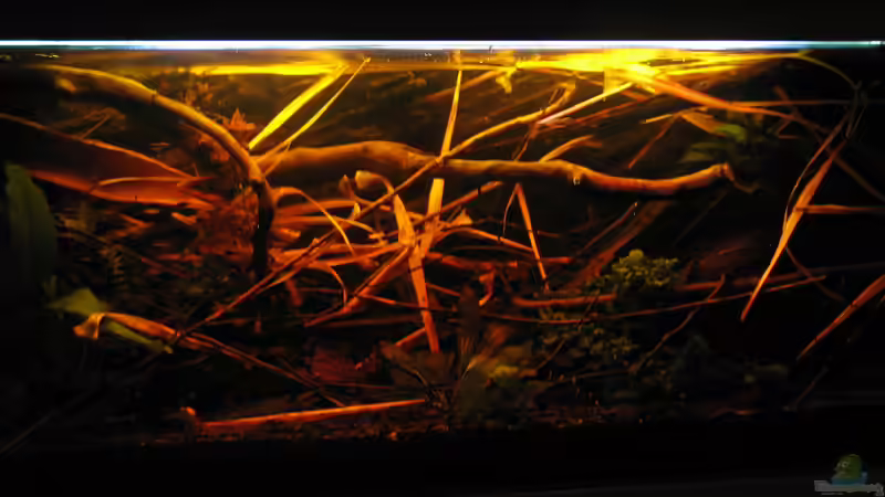 19.04.2015 Feuerwasser von der Theoretiker (22)