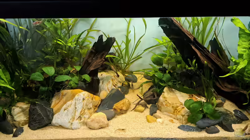 19.04.2023 von okefenokee (46)