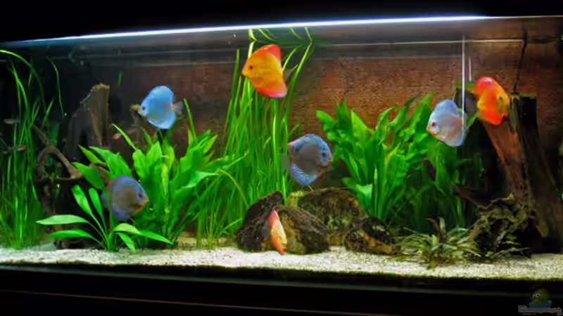 19.05.09 von Klaus Kastl (8)