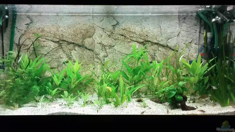 19.05.09 von Till Grote (4)