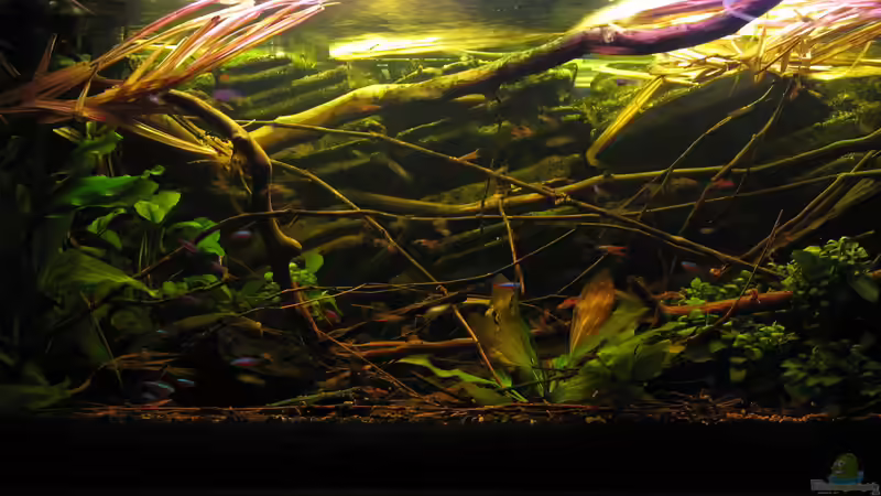 19.05.2015 zentrale Mitte von der Theoretiker (17)