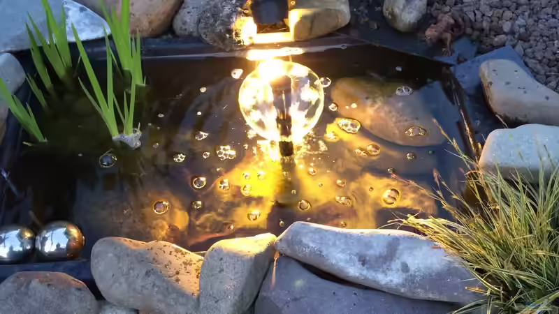 19.05.2019 aus der Nähe betrachtet mit Beleuchtung von herkla (18)