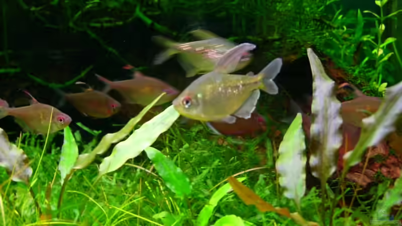 19.06.09 von Daniel_ (32)