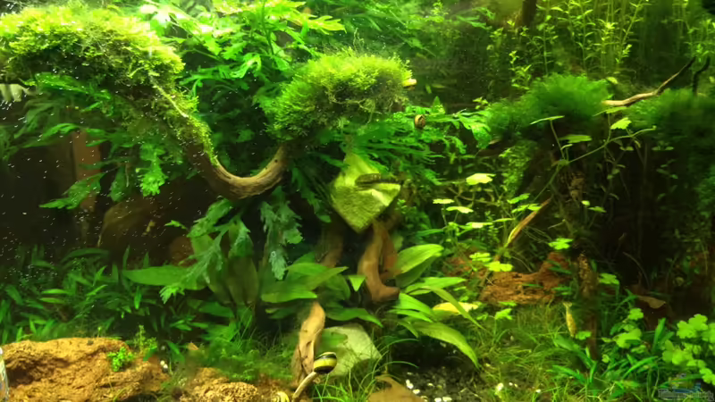 19.06.2013 von Walde (29)