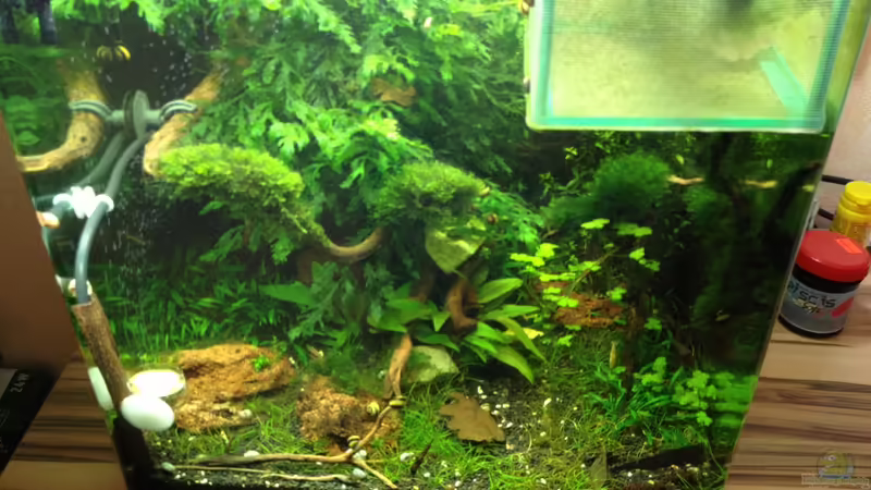 19.06.2013 von Walde (33)