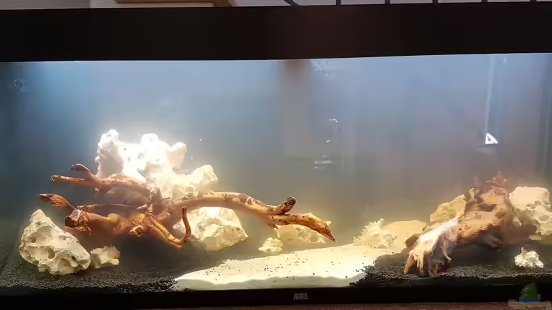 19.06.2020 von Rinchen84 (12)