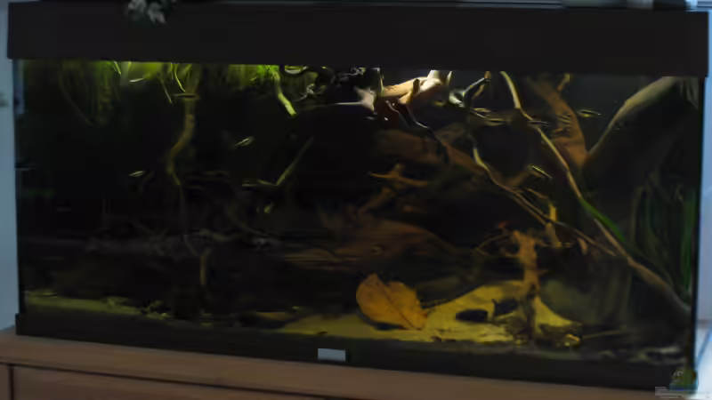 19.09.15 von Jemafa (13)