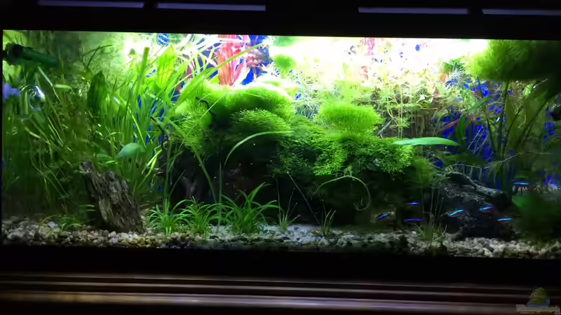 19.09.16 von .Andreas. (55)