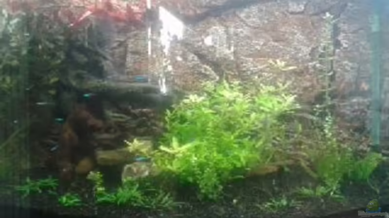 19.09.2012 Neue Rückwand von Jankow (10)