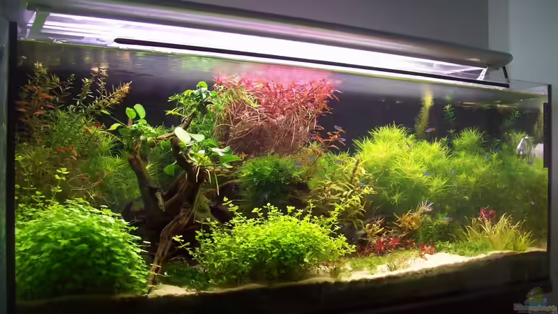 19.09.2013 von Lotte und Hendo (16)