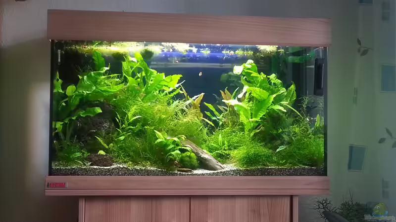 19.09.2013 von Melanie (6)