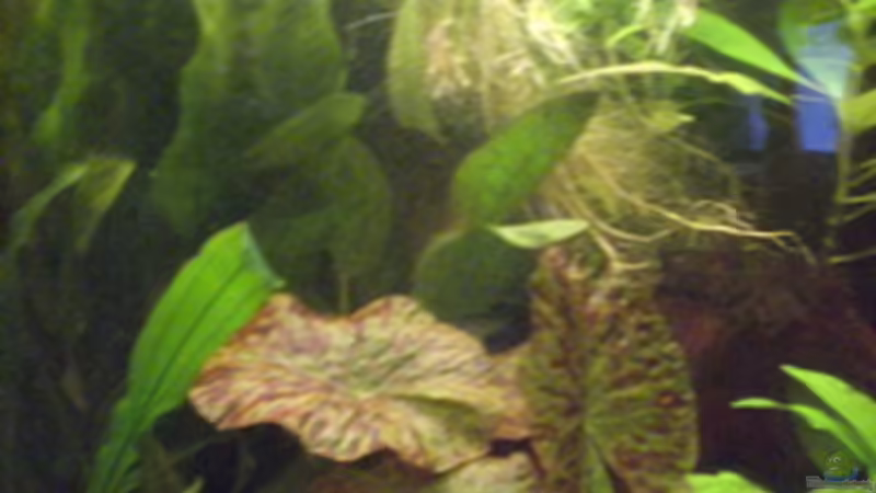 19.10.08 von Alexander Preuss (12)