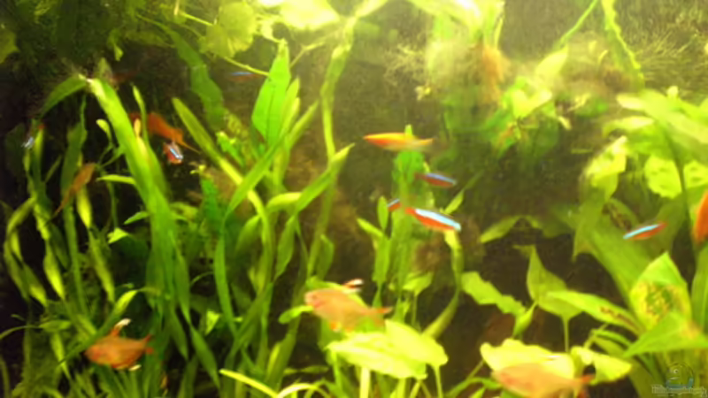 19.10.08 von Alexander Preuss (13)