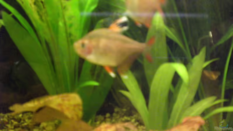 19.10.08 von Alexander Preuss (14)