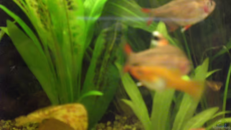 19.10.08 von Alexander Preuss (15)