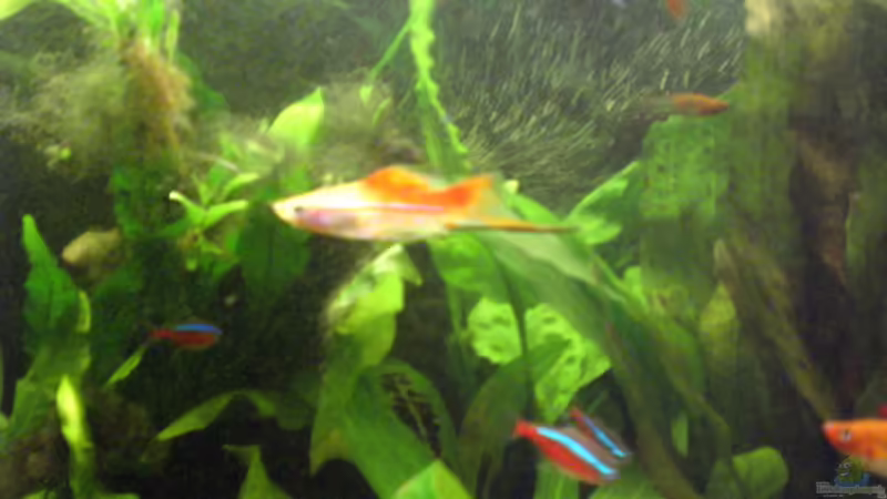 19.10.08 von Alexander Preuss (16)