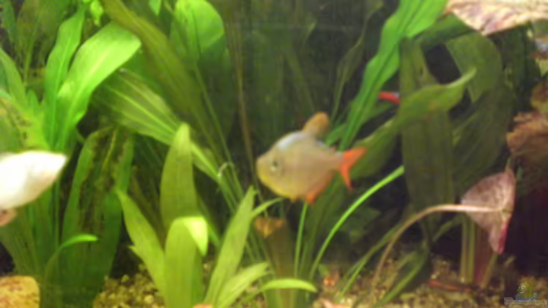 19.10.08 von Alexander Preuss (17)