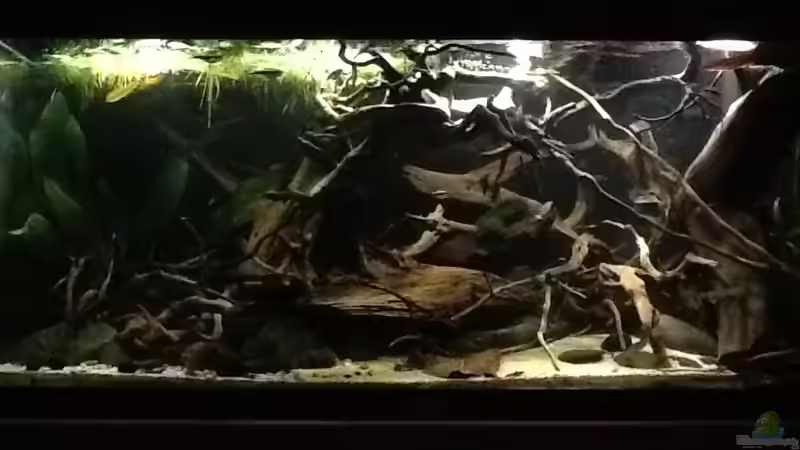 19.10.15 von Jemafa (14)