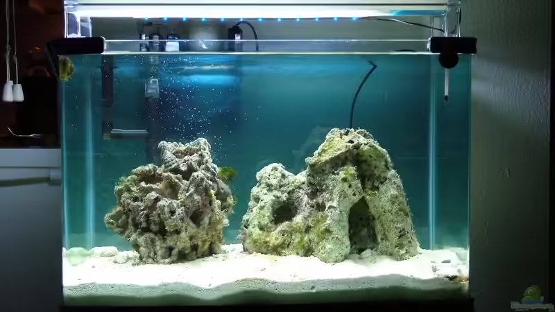 19.10.2008 von Merya (7)