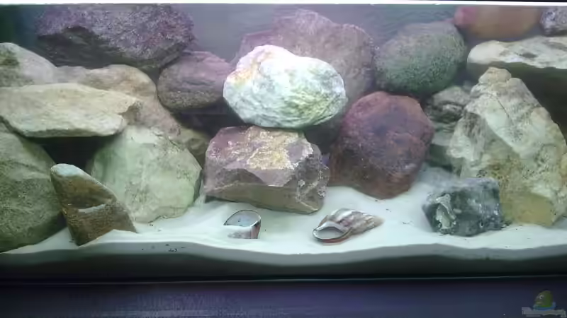 19.11.2008 von Tobias Seiffert (2)