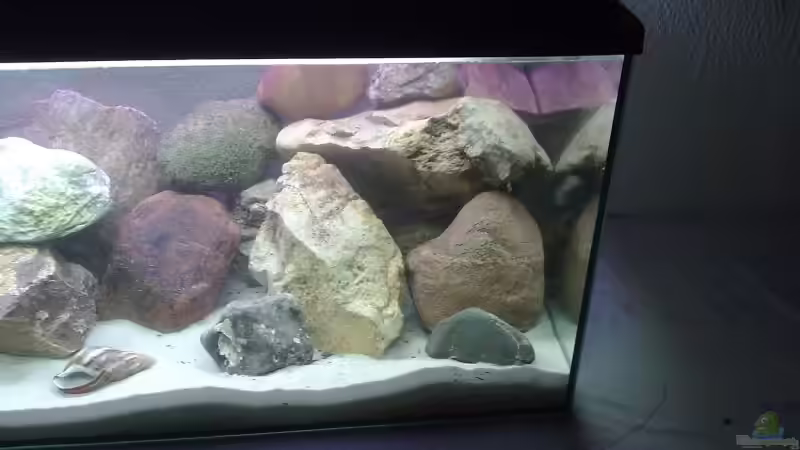 19.11.2008 von Tobias Seiffert (3)