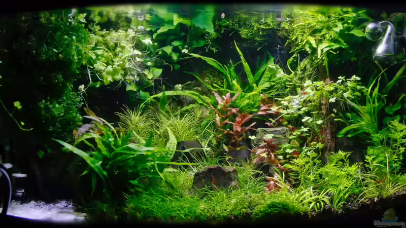 19.11.2012 von Ralf64 (2)