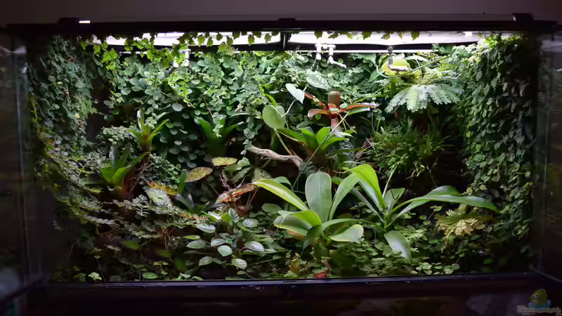 19.11.2016 von Junglist (53)