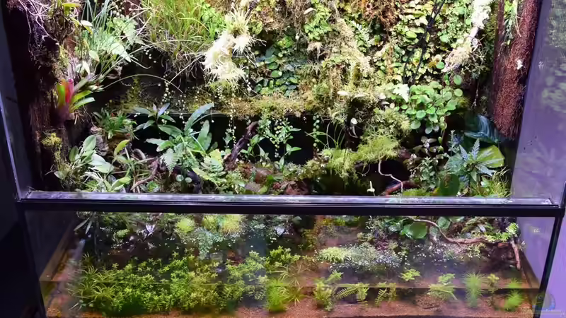 19.11.2017 von Junglist (5)