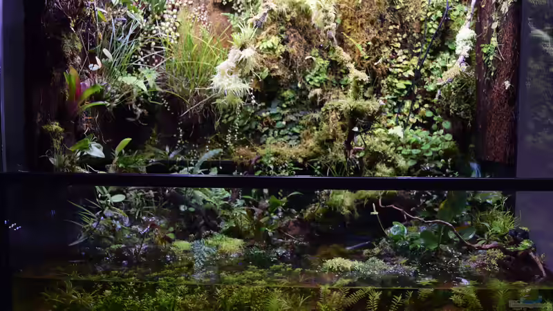 19.11.2017 von Junglist (6)